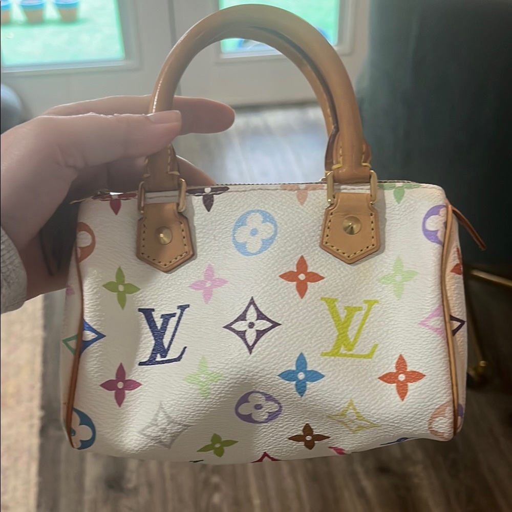 Louis Vuitton Multicolor Monogram Handbag